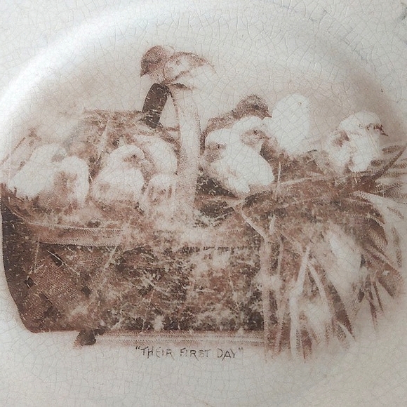 Antique Harker Pottery ABC Plate Baby Chicks "Their First Day" Hotel Ware c.1930 - Picture 2 of 5